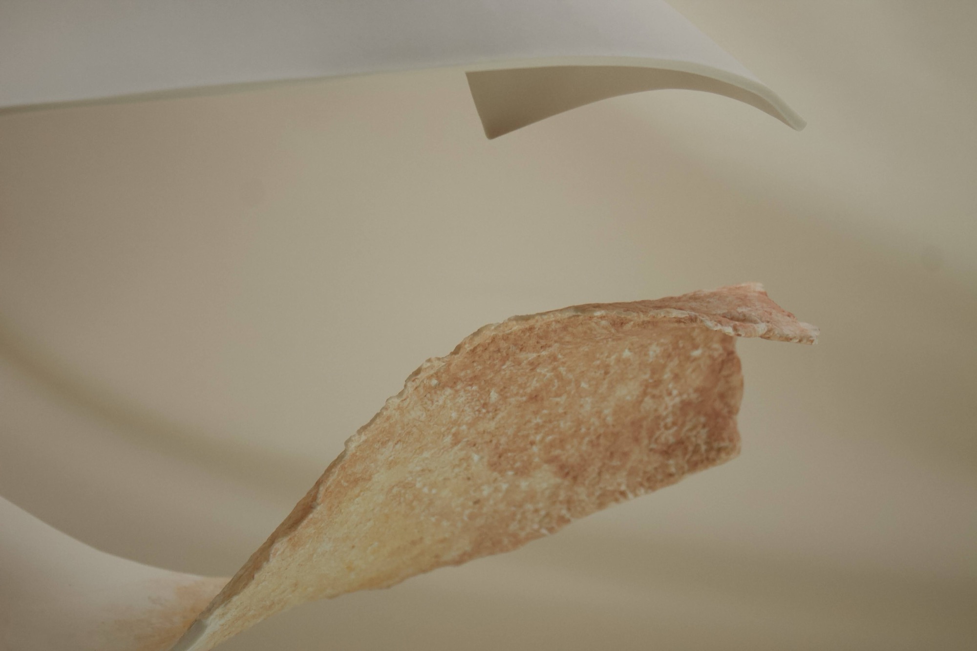 Forms of Becoming — detail