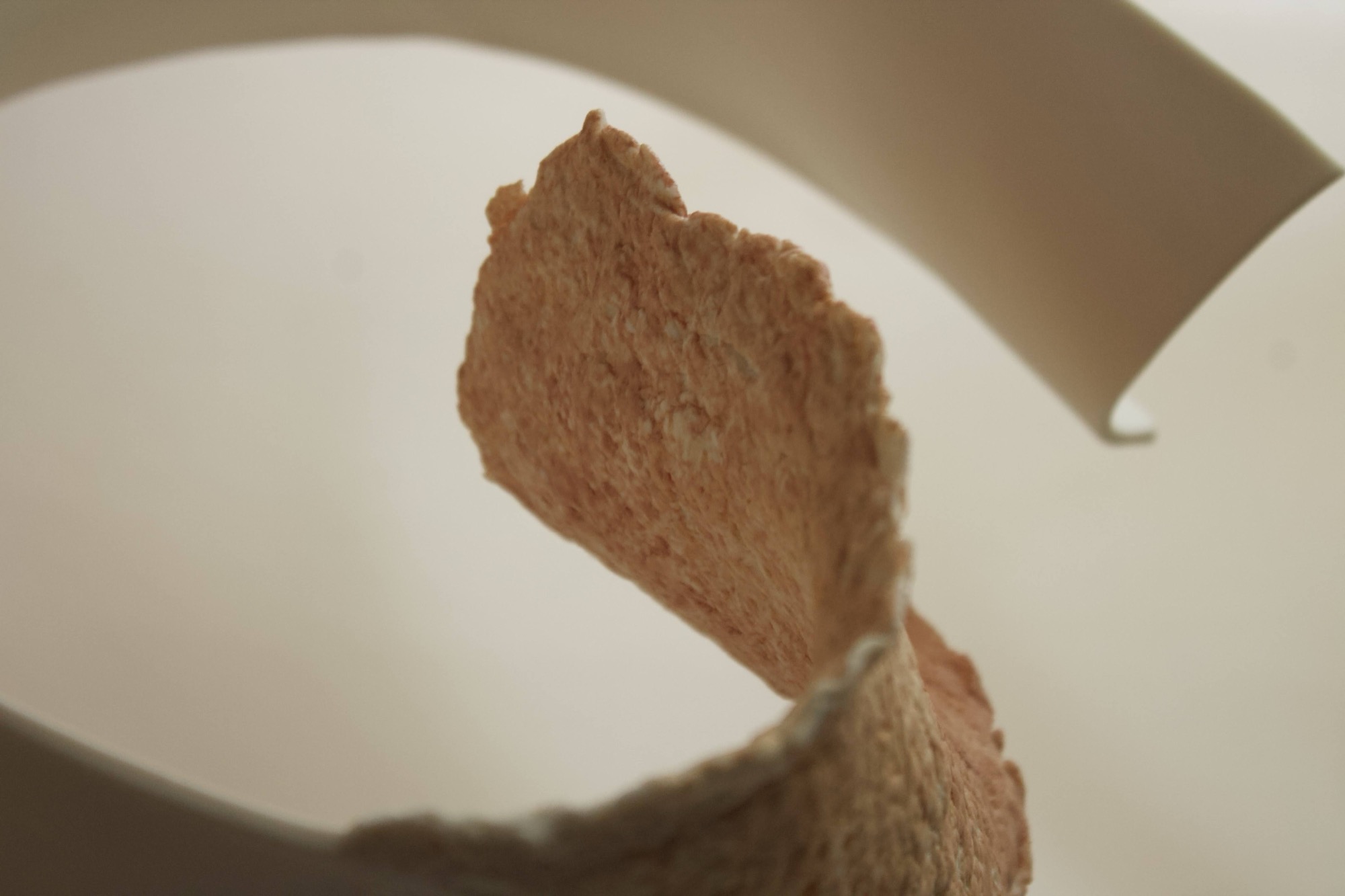 Forms of Becoming — detail