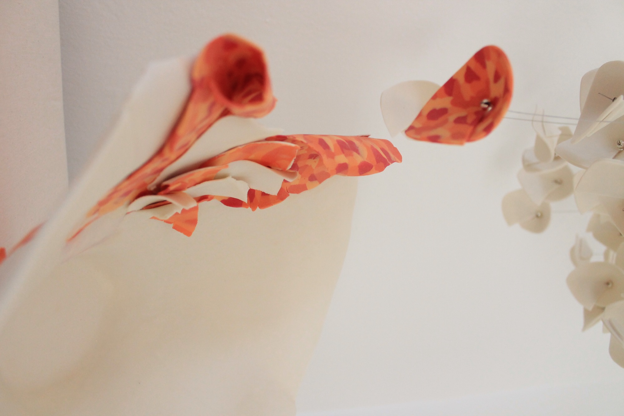 Metamorfosi — detail