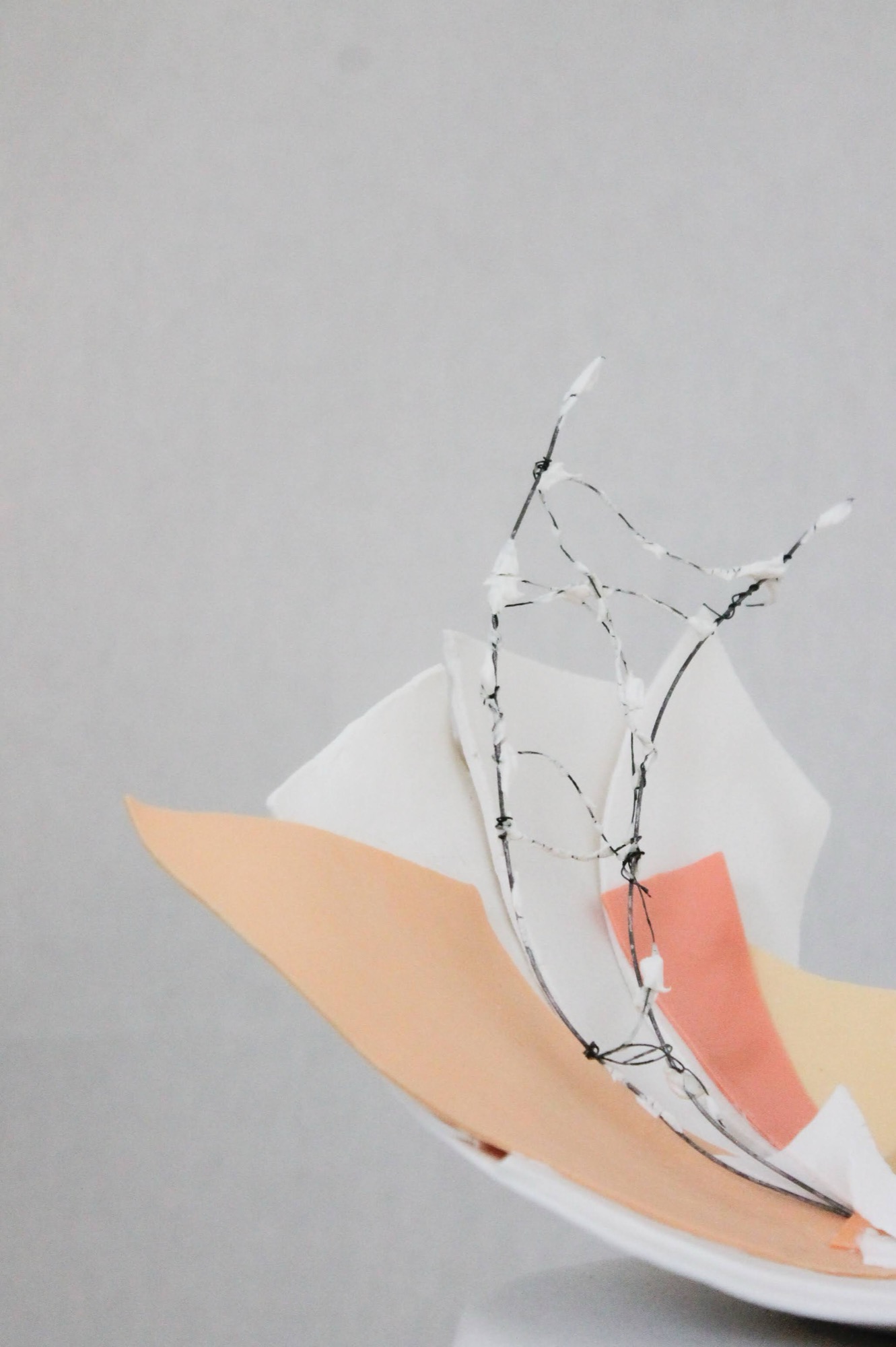 Tra(n)sformazione I e II — detail