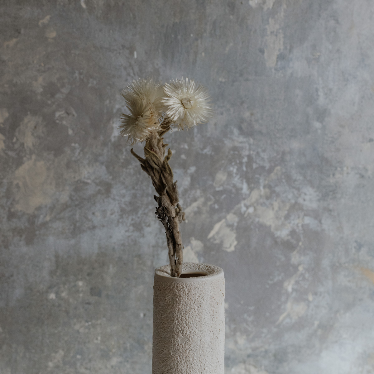 Cylinder Vase | Medium - immagine 3